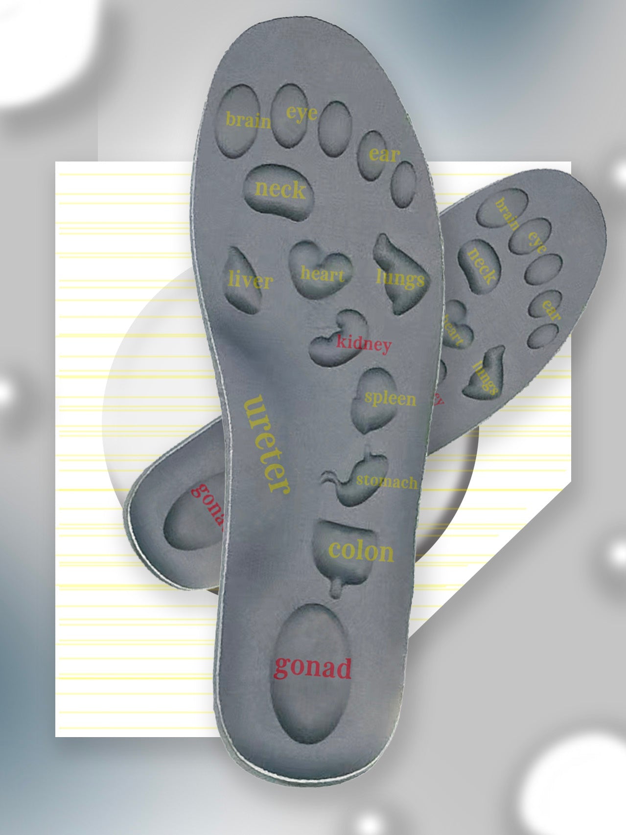 insole